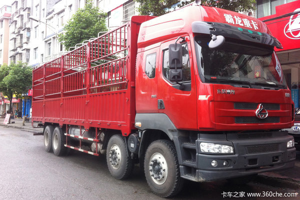 东风柳汽 霸龙重卡 290马力 8X4 排半载货车(LZ5244CSPEL)外观图（8/13）